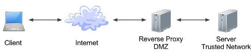 reverse proxy